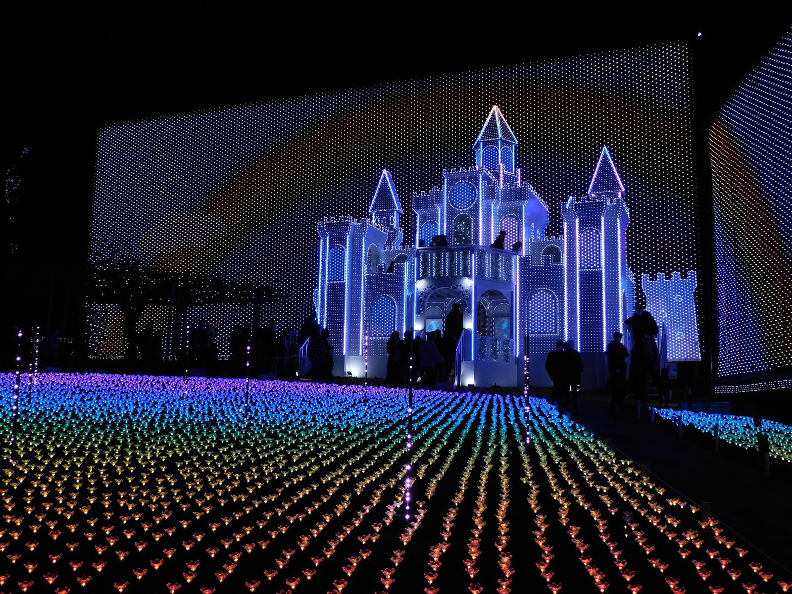 夜の園内に、光る城の飾りと色とりどりの光の花畑が広がるあしかがフラワーパークのイルミネーション