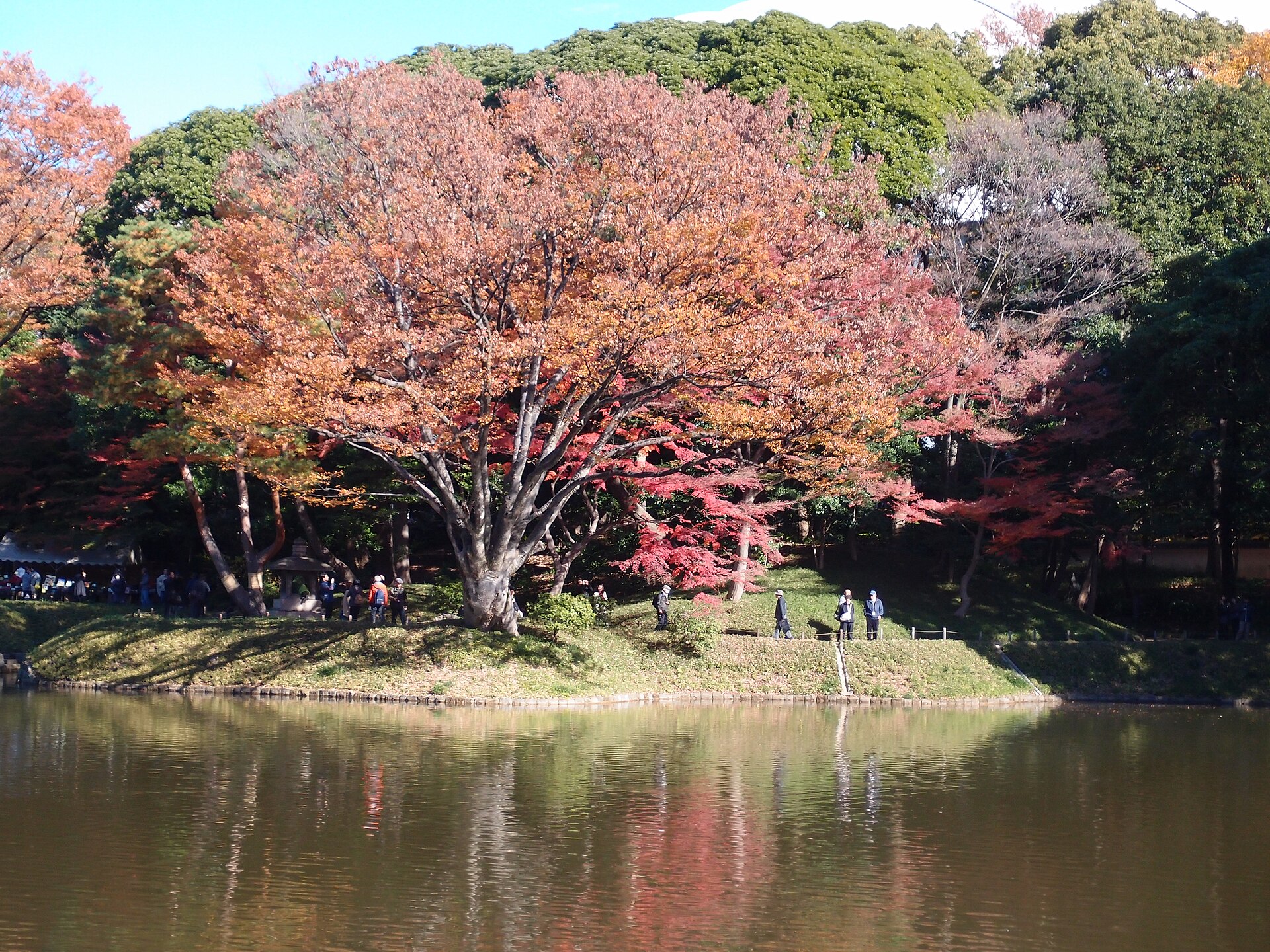 赤や黄に色づいた大きな木が、池の向こうの岸に立つ小石川後楽園の秋の景色
