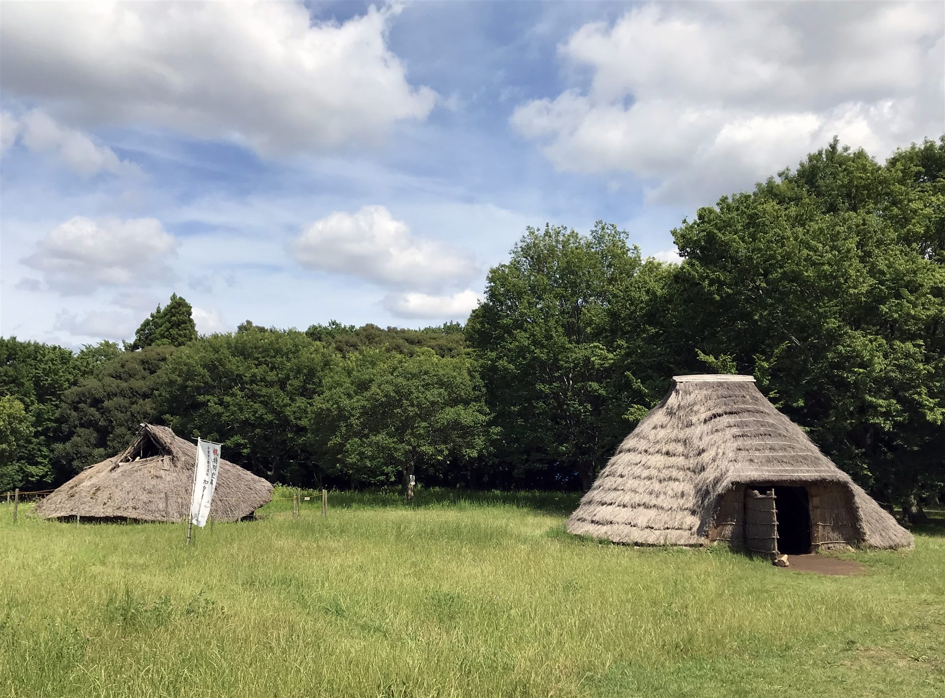 草地に建つ、茅葺きの復元された縄文時代の住居2棟と、背後の木々