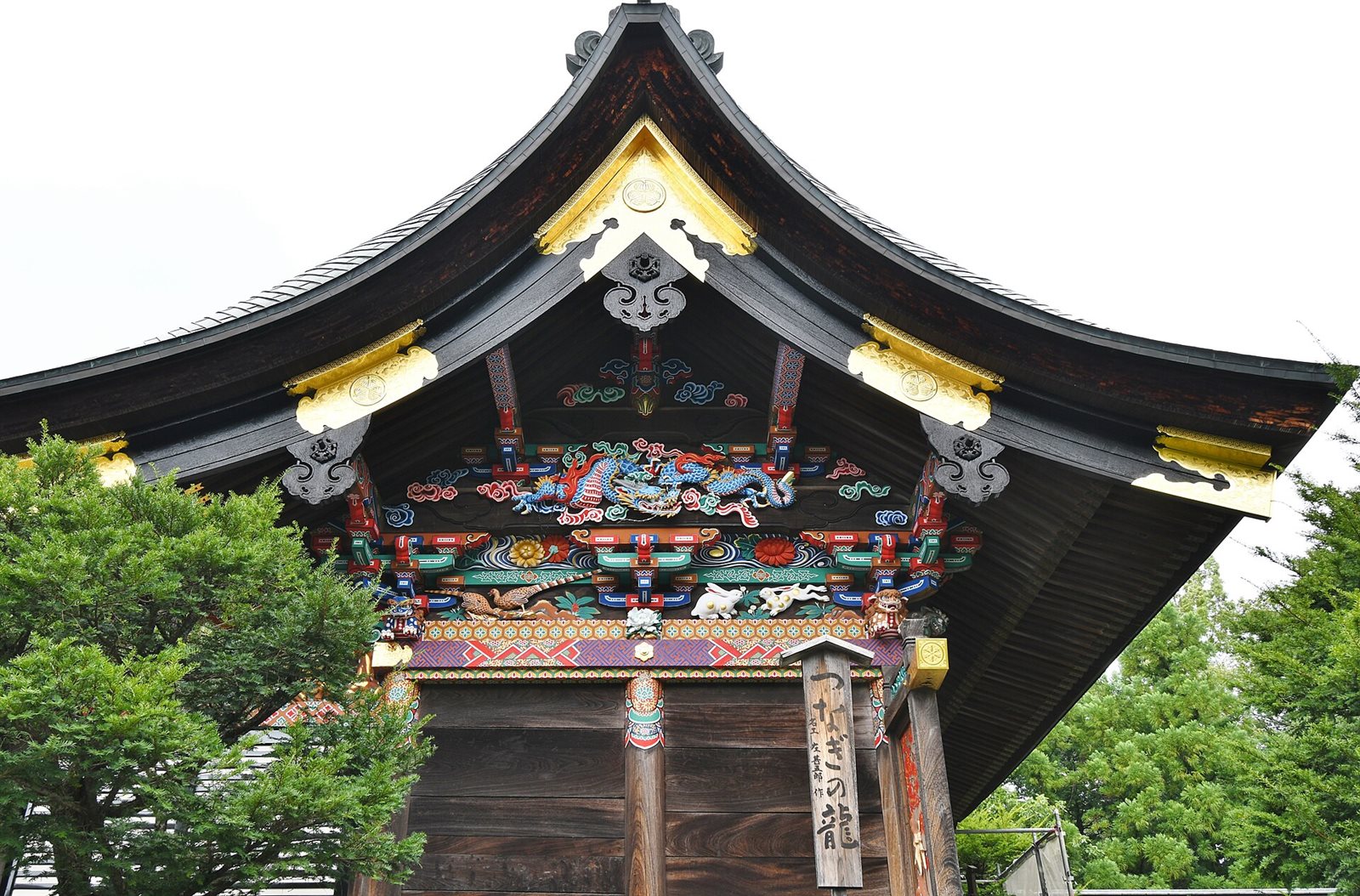秩父神社の社殿の妻側。反りのある屋根の下に青い龍の彩色彫刻があり、手前の柱に「つなぎの龍」と書かれた木の札が立っている