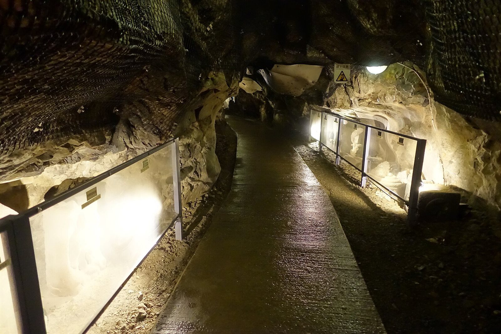 照明に照らされた江の島岩屋の洞窟の通路。両側にガラス越しの展示が並ぶ