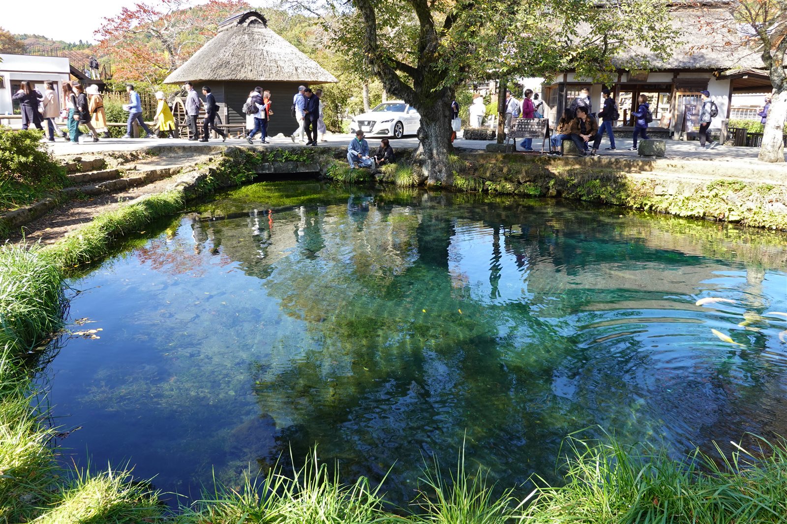 透きとおった湧き水の池と、その向こうの茅葺きの建物を歩く観光客
