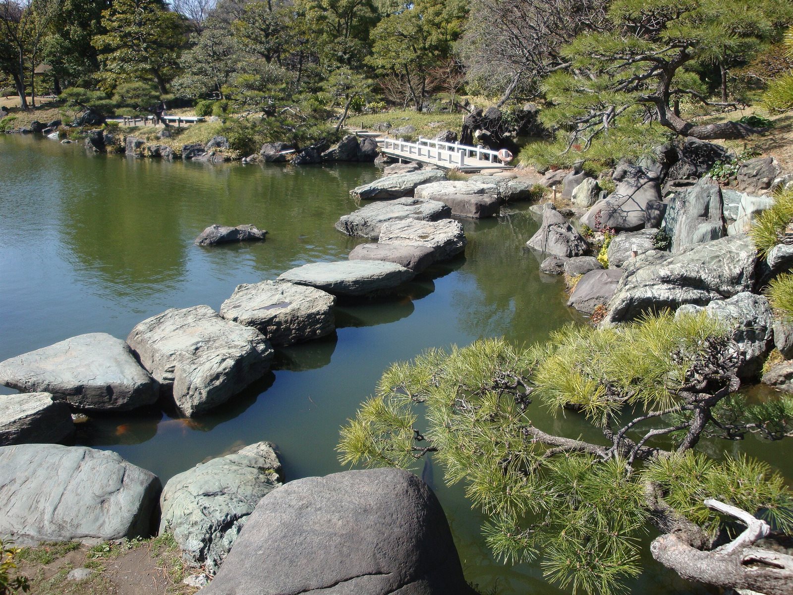 池に飛び石を渡した、清澄庭園の磯渡り