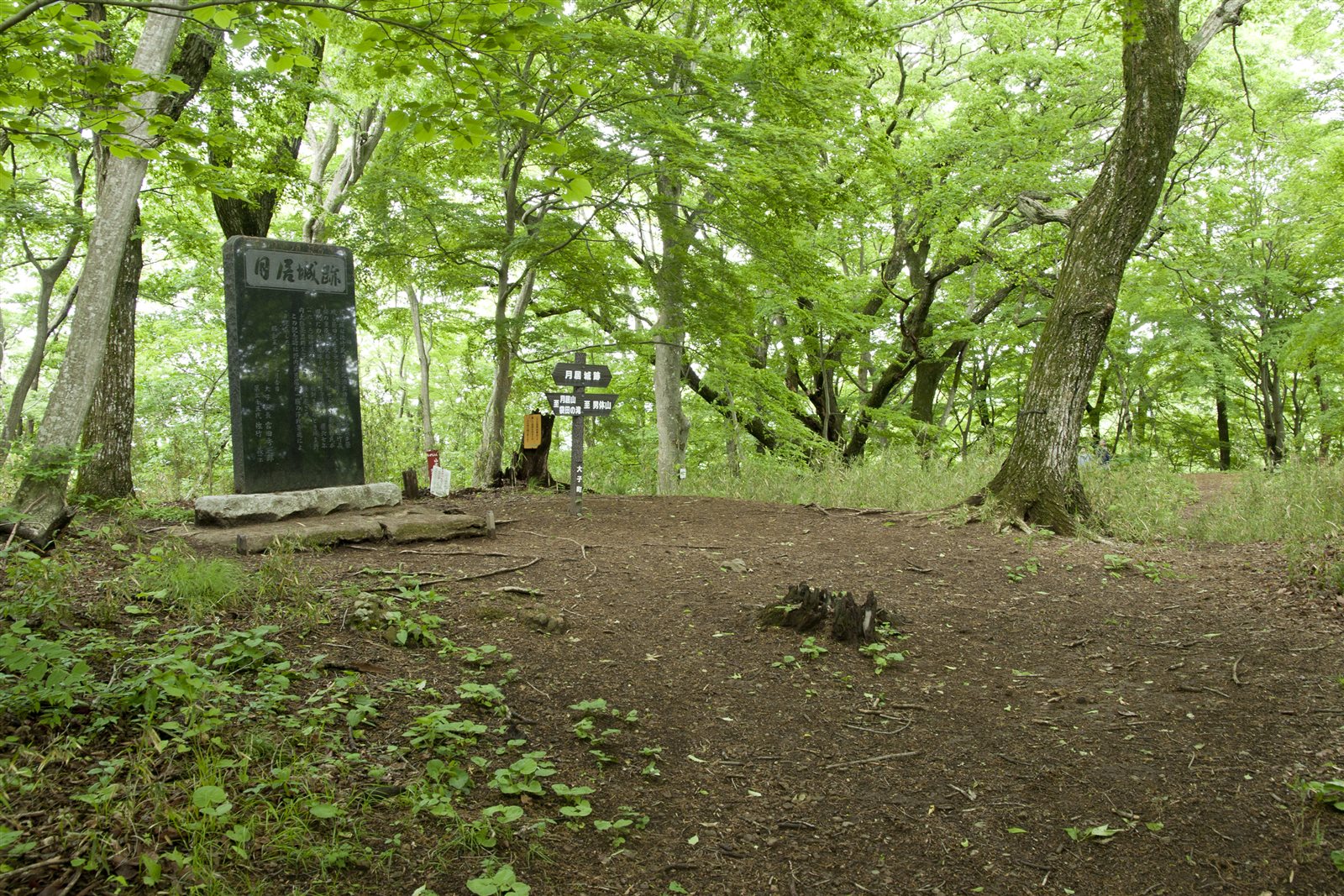 新緑の木々に囲まれた土の広場に、石碑と道標が立つ月居山の山頂