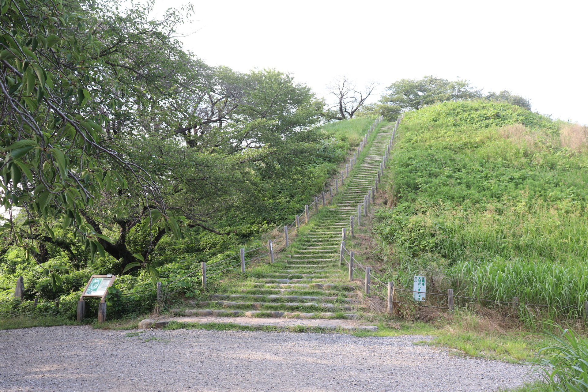 草の斜面に、頂上へまっすぐ続く石段がある丸墓山古墳