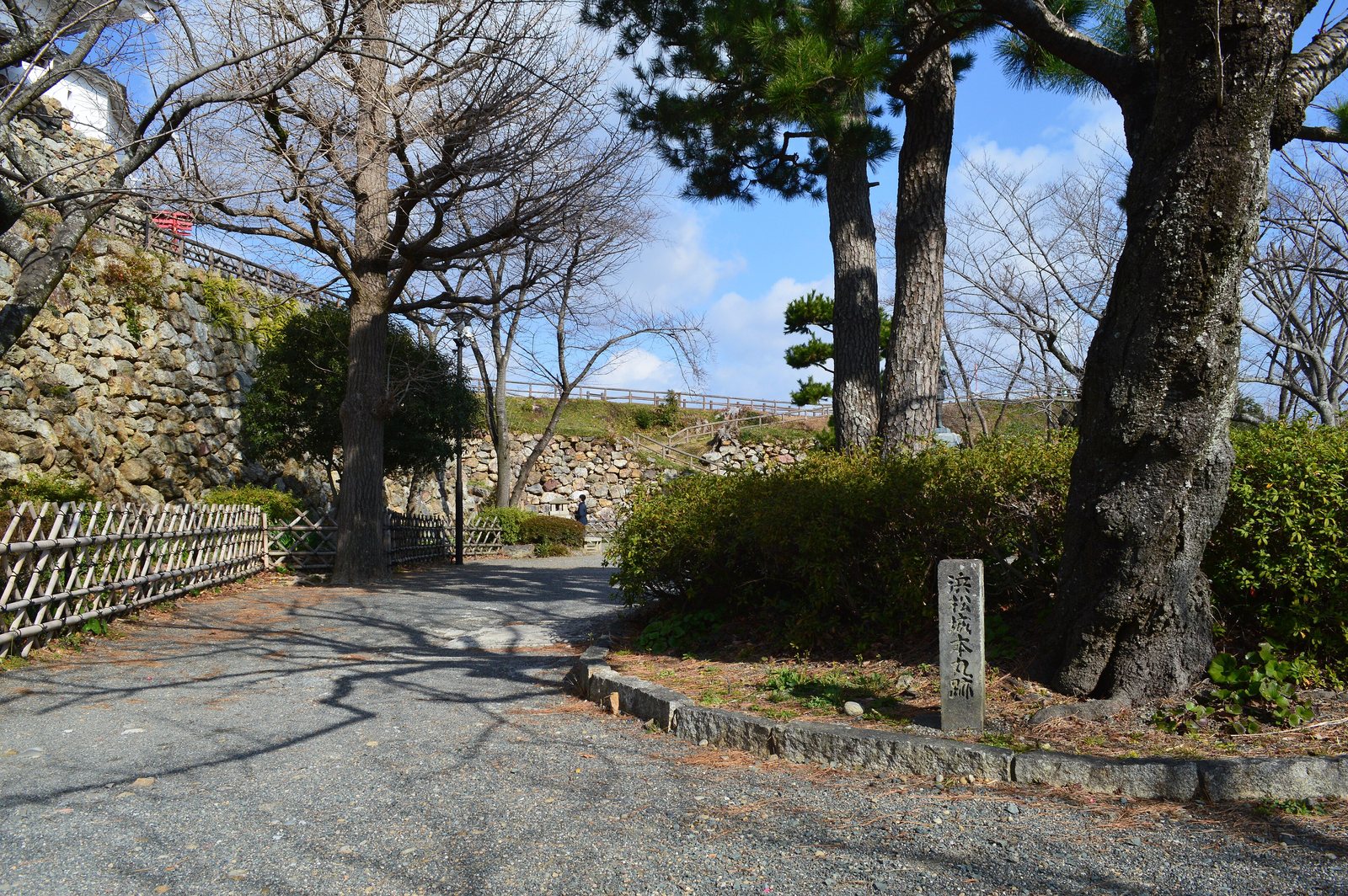 石垣と大きな松の木のあいだを抜ける、浜松城の本丸の小道