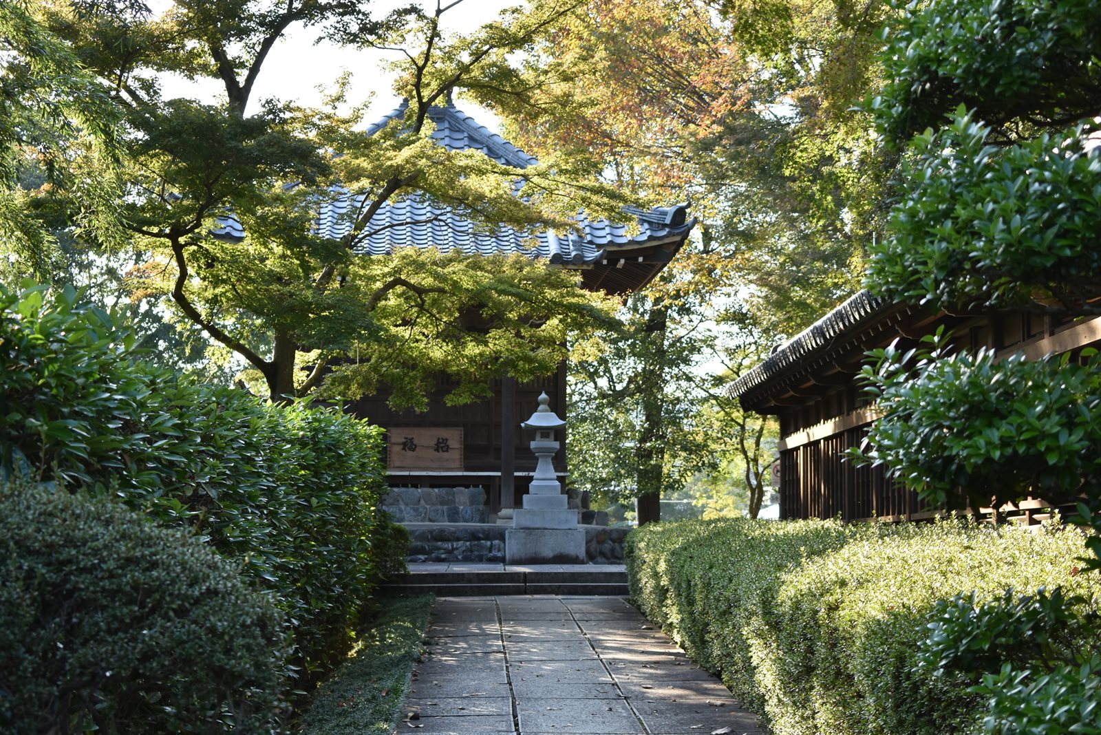 能仁寺の境内。刈り込まれた生垣にはさまれた石畳の道が奥へ伸び、その先に石灯籠と瓦屋根のお堂が見える。まわりを木立が覆っている