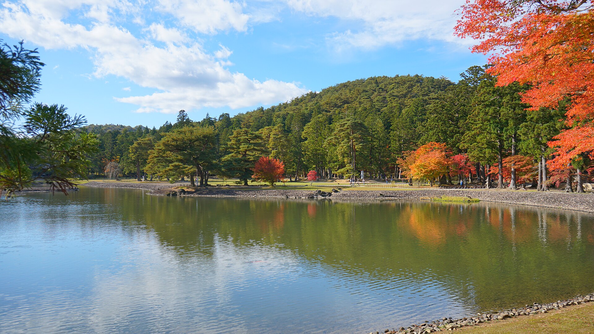 紅葉の時期の毛越寺・大泉が池