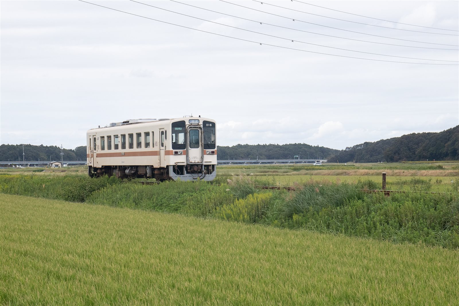 黄金色の田んぼの向こうを、クリーム色の車体に赤い帯の1両の列車が走る湊線