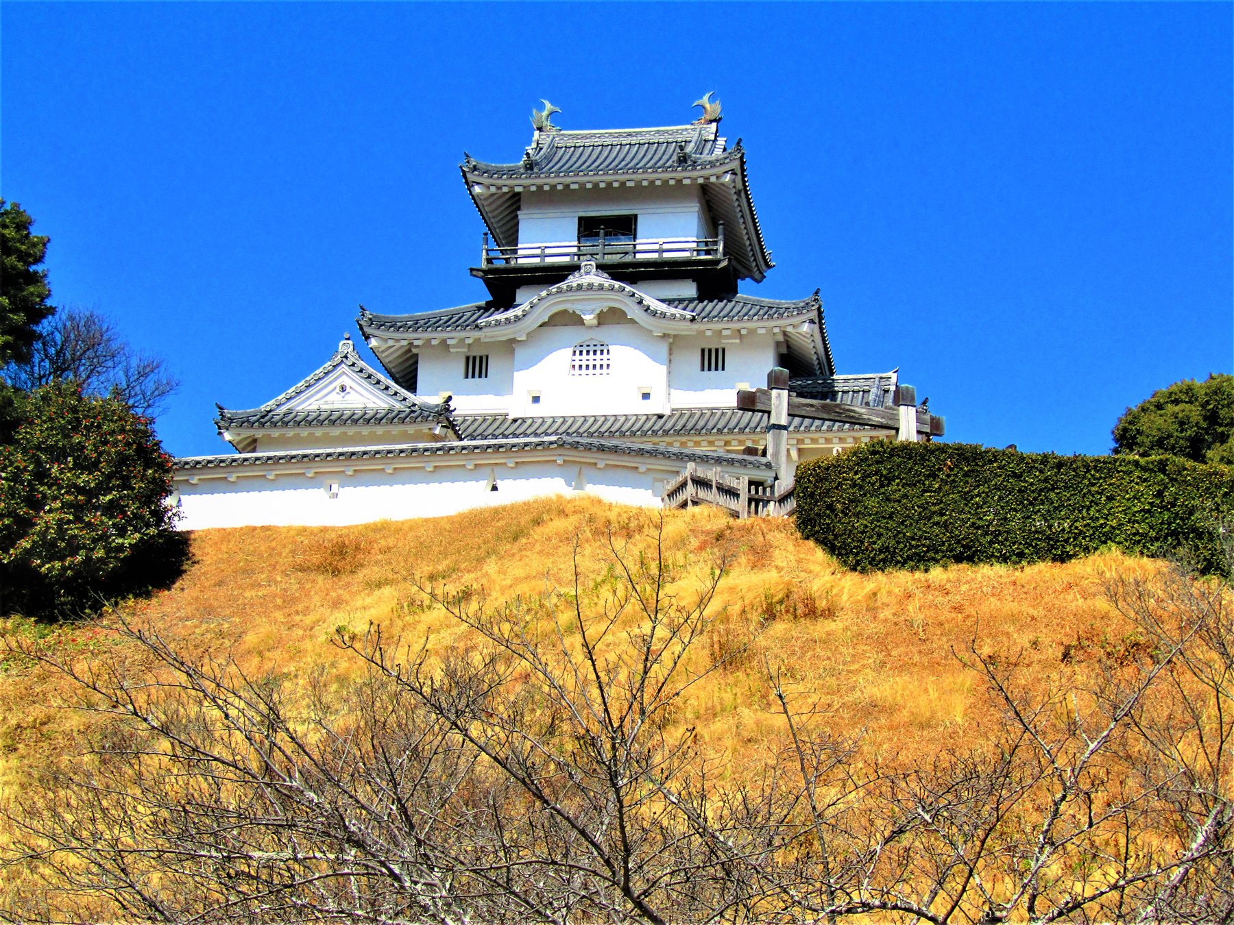 青空を背に、丘の上に白い壁と黒い瓦屋根の3層の天守閣が建つ掛川城