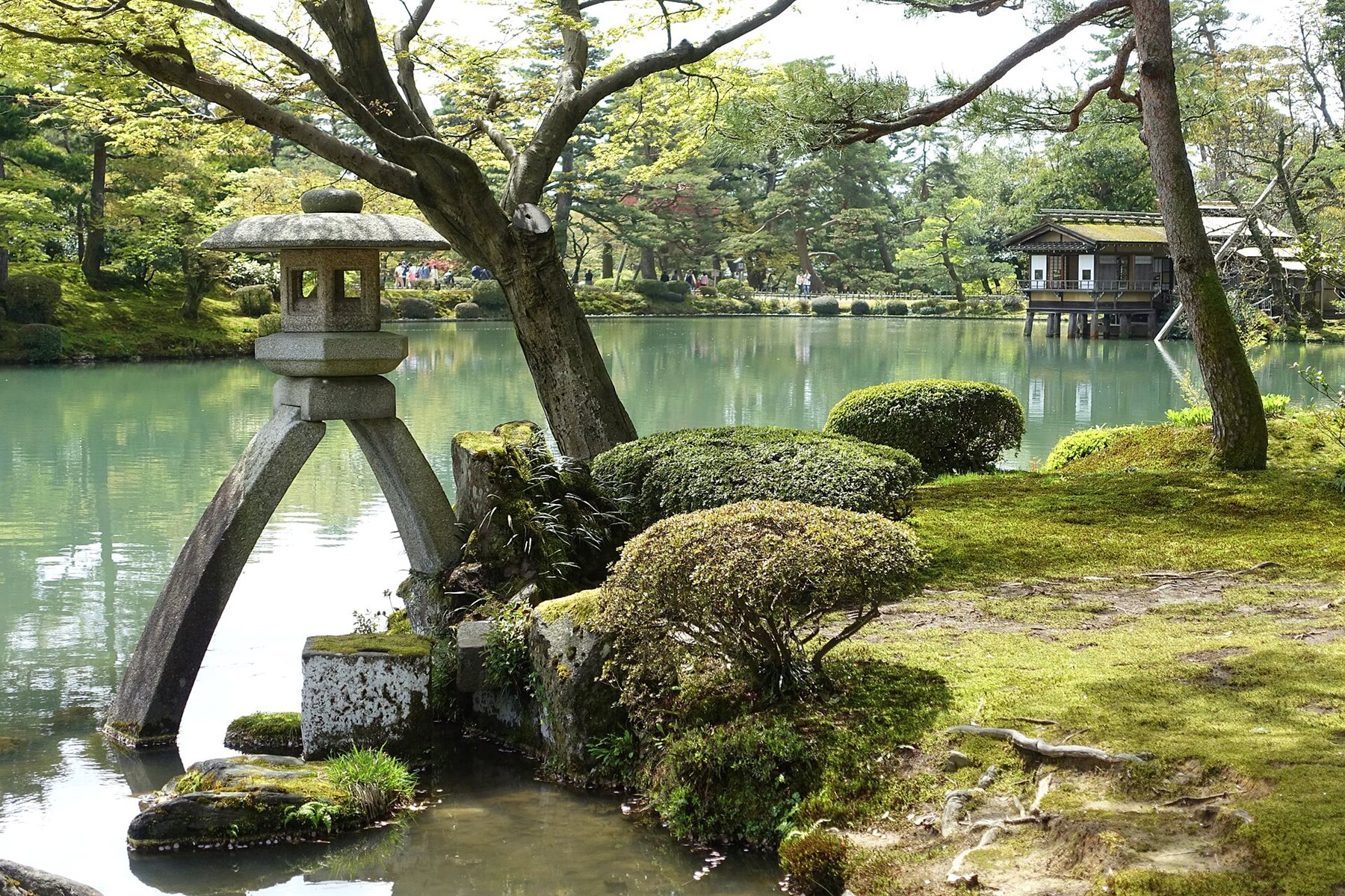兼六園の池のほとりのことじ灯籠