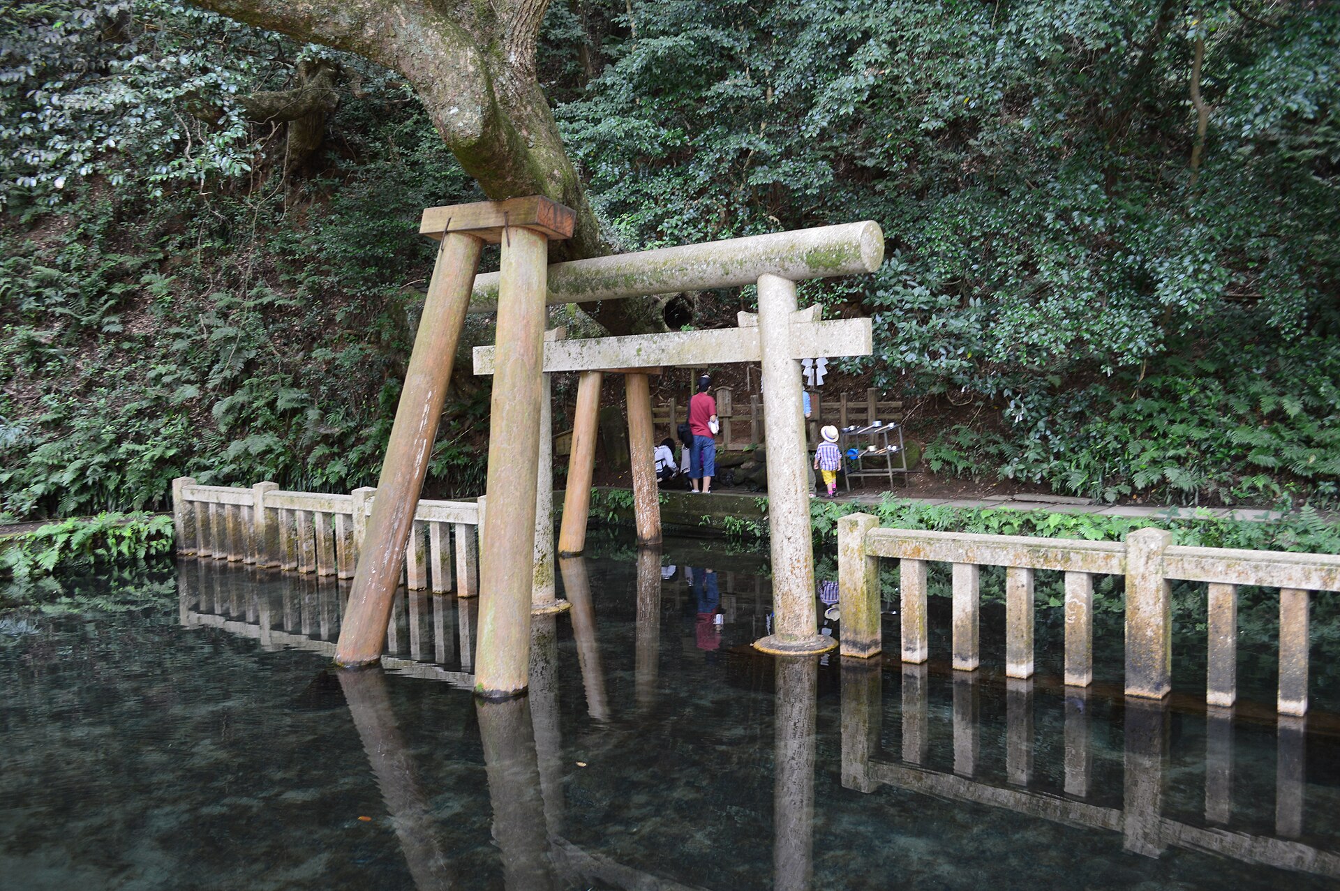 透き通った水面に鳥居が映る、鹿島神宮の御手洗池