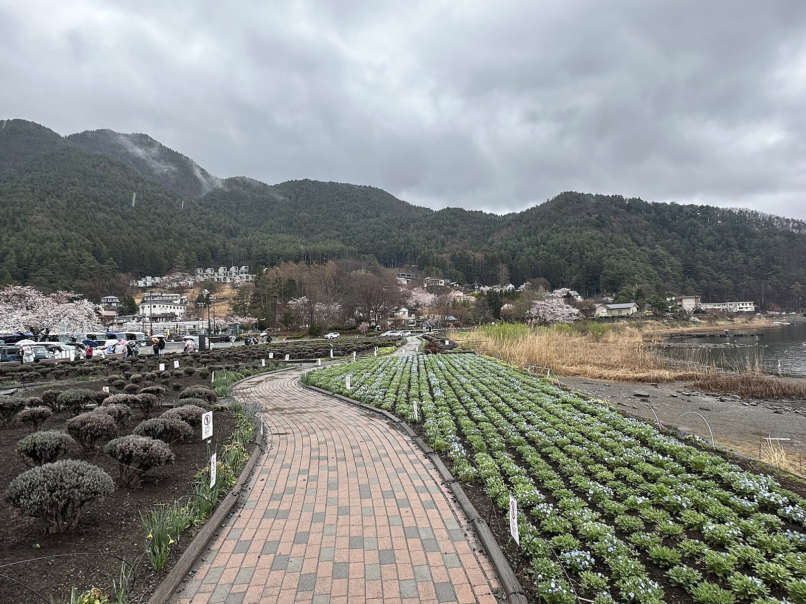 大石公園の遊歩道。石畳の道の両側に花壇が並び、奥に河口湖と山並みが見える