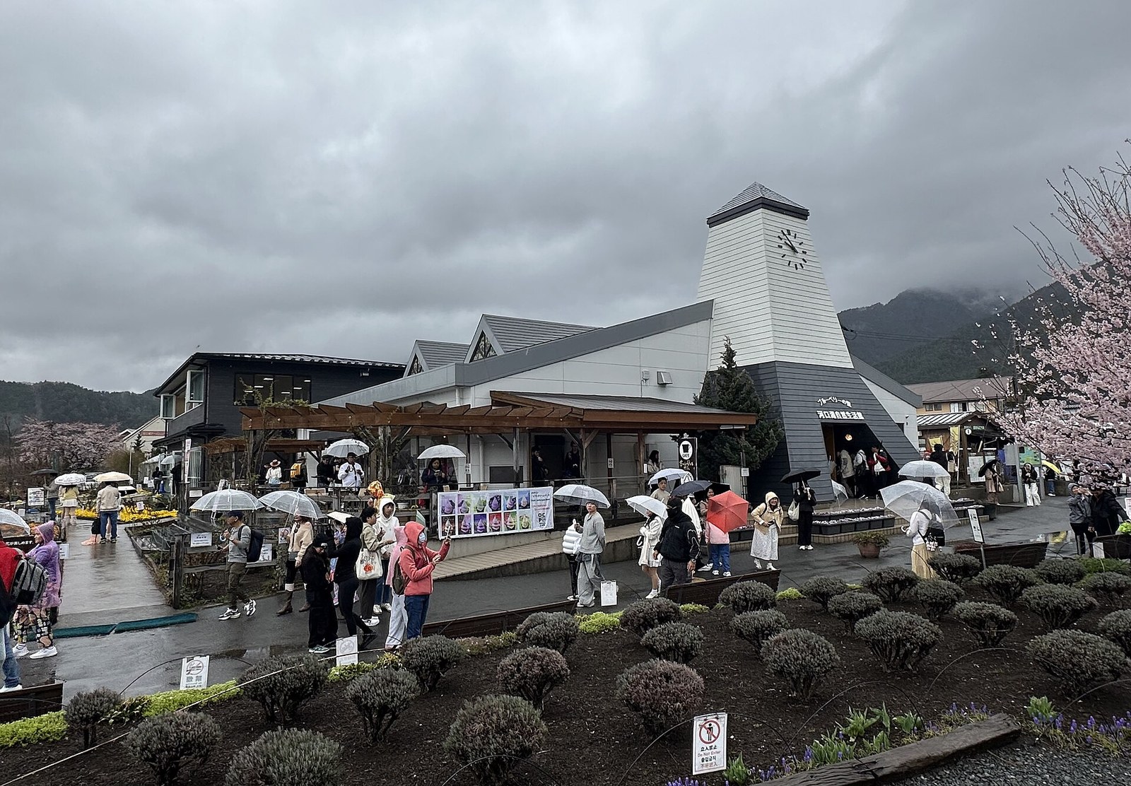 河口湖自然生活館の外観。時計塔のある建物の前に人が集まり、手前に花壇が広がる