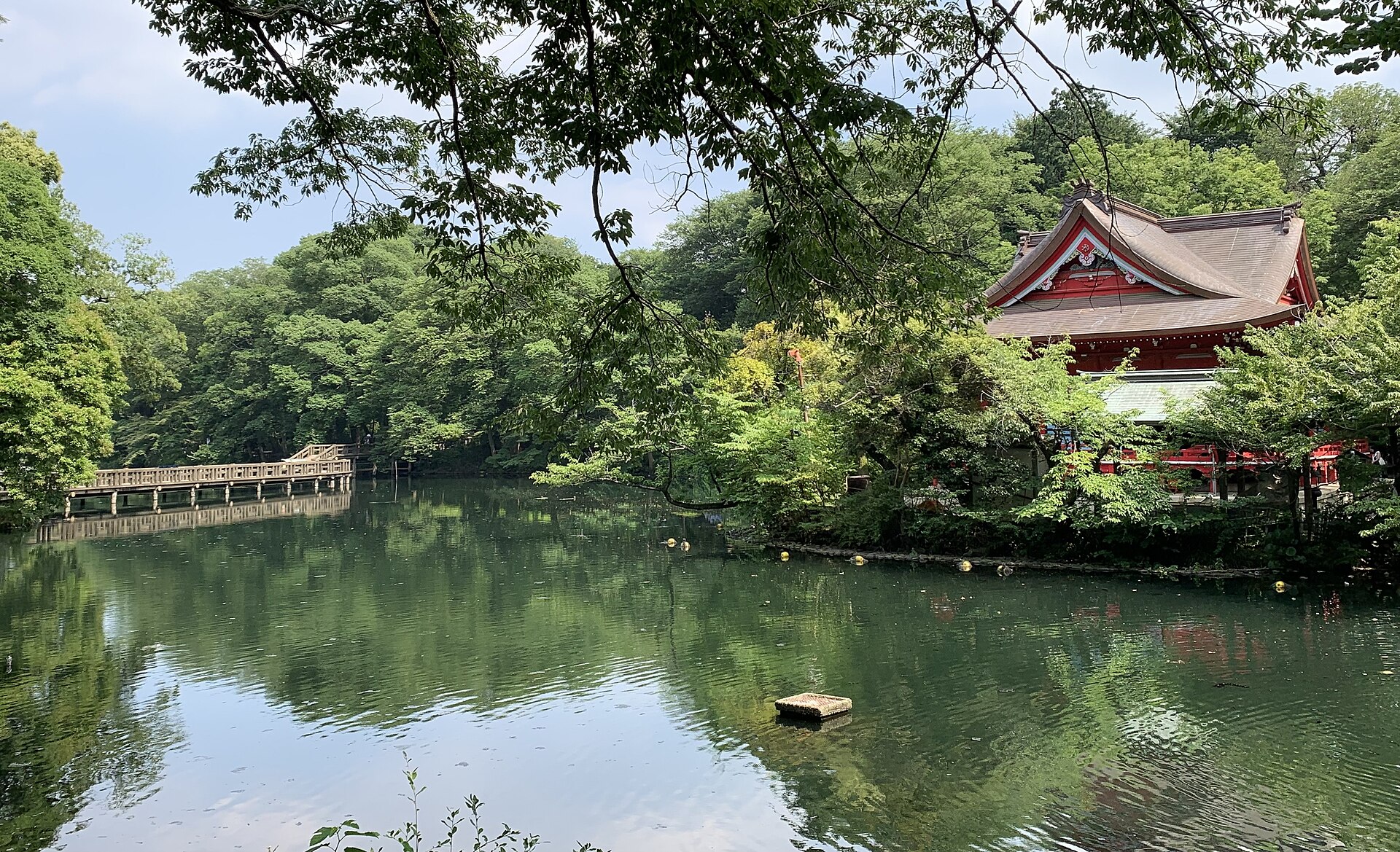 木々に囲まれた井の頭池と、水面に架かる木の橋、岸の赤い屋根の建物