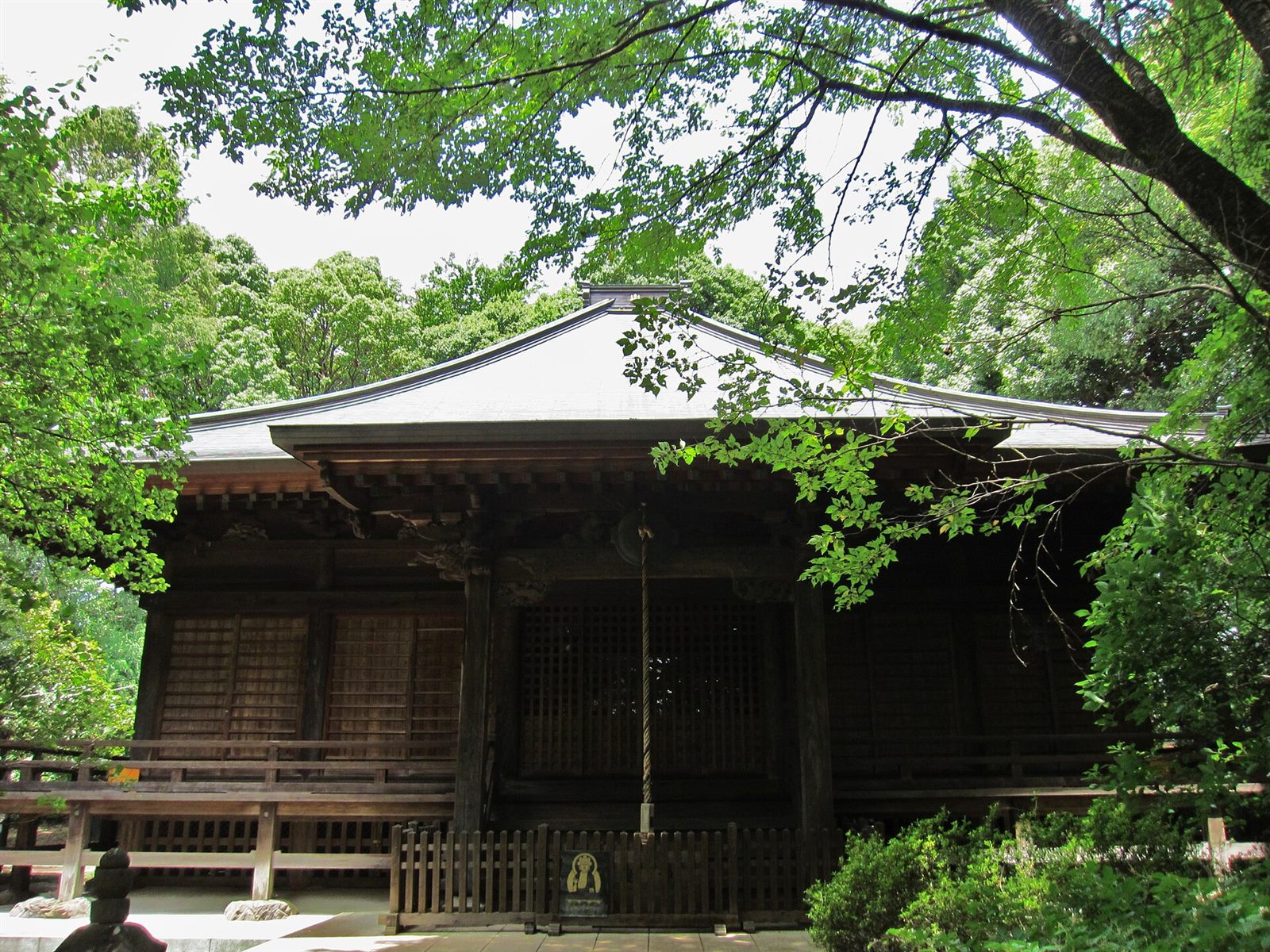 緑の木々に囲まれた、武蔵国分寺の薬師堂