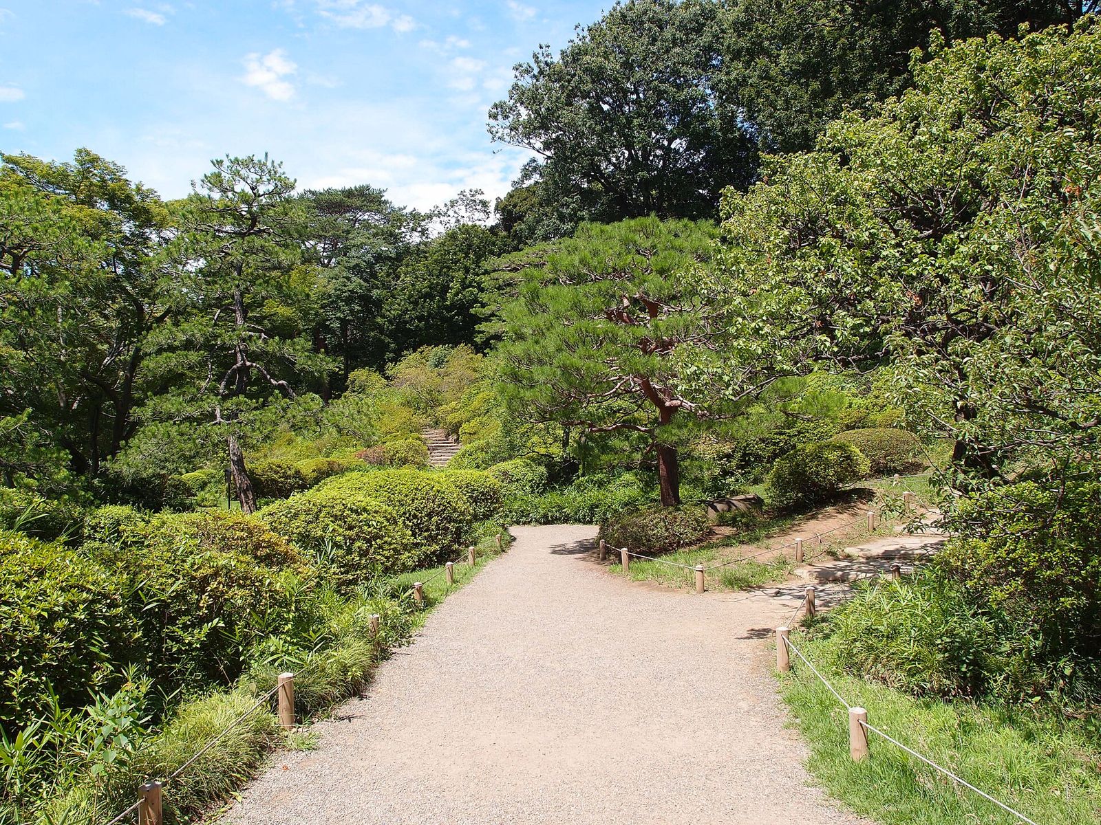 背の低い緑の植え込みとマツの木々に囲まれて、砂利の園路が奥へ続く六義園の庭