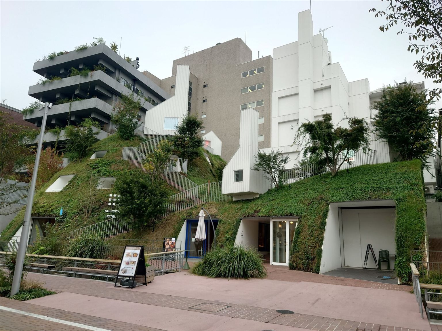 緑の斜面に階段が続き、白い建物が重なる白井屋ホテルの外観