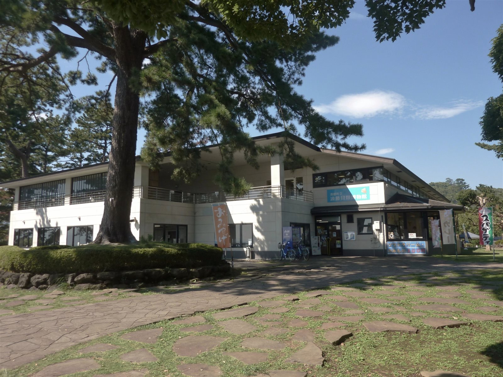 大きな松の木の横に、遠藤貝類博物館の看板を掲げた2階建ての建物が建つケープ真鶴