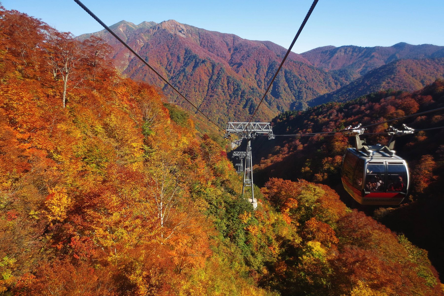 谷川岳ロープウェイのゴンドラ