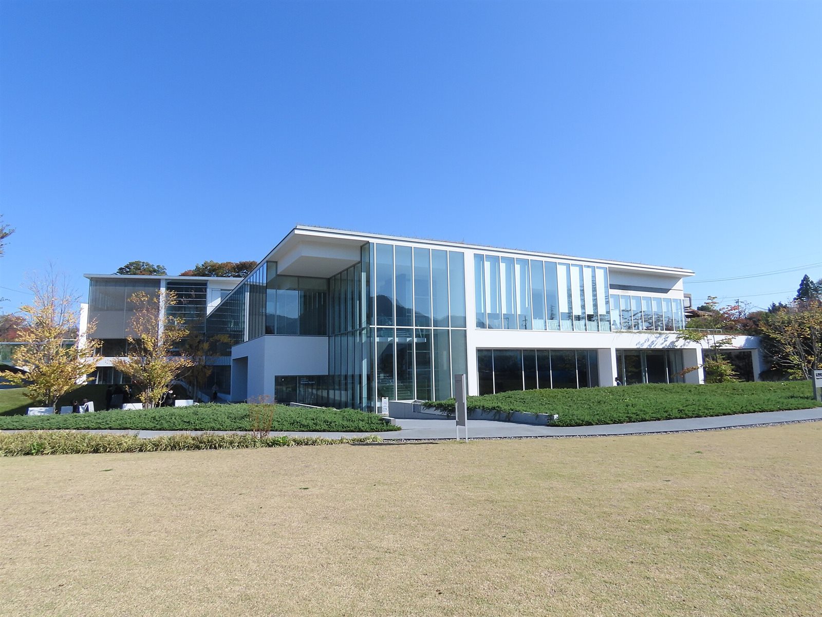 青空の下、芝生の向こうに立つガラス張りの長野県立美術館本館。手前の木々が色づいている