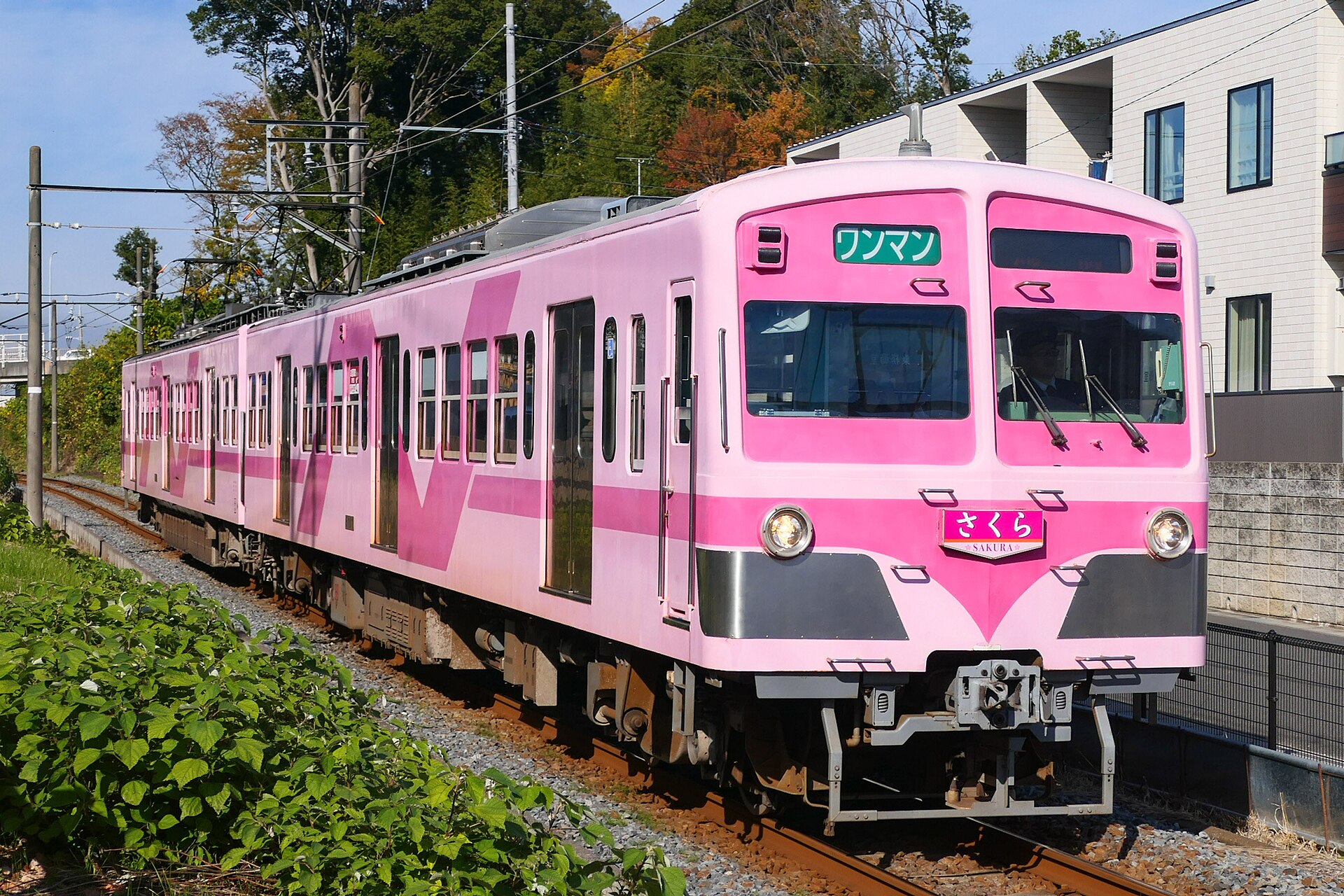 秋の木々のそばの線路を走る、ピンク色の流鉄の電車