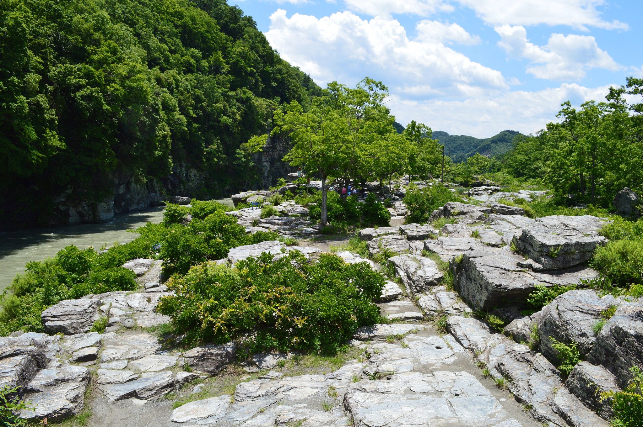 長瀞渓谷の岩畳。平らな結晶片岩が荒川に沿って広がり、奥に新緑の山が見える