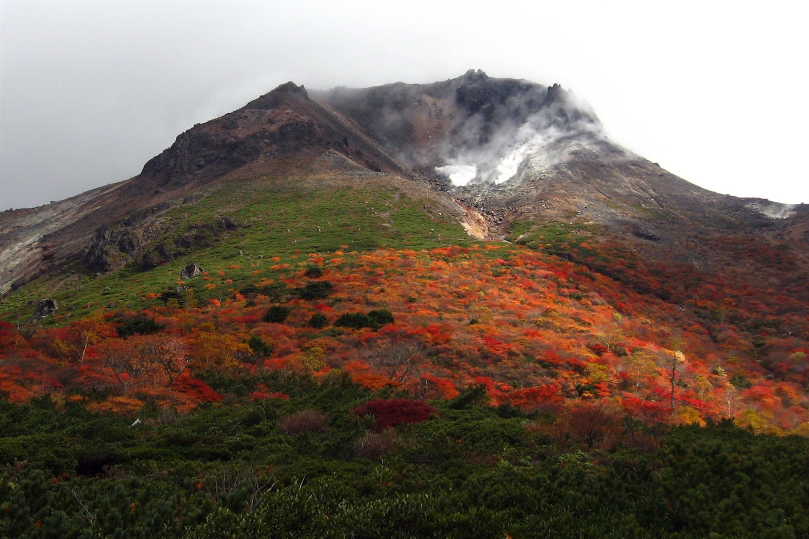紅葉した山腹の上に、白い噴煙を上げる岩肌の茶臼岳がそびえる