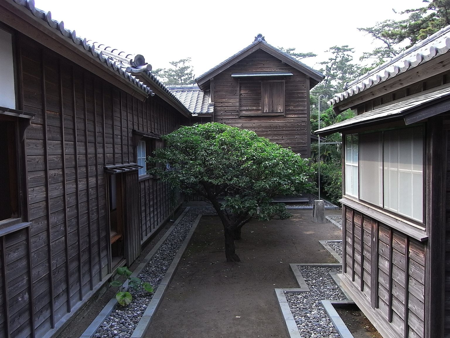 板張りの外壁の建物に囲まれた、緑の木が立つ砂利敷きの中庭