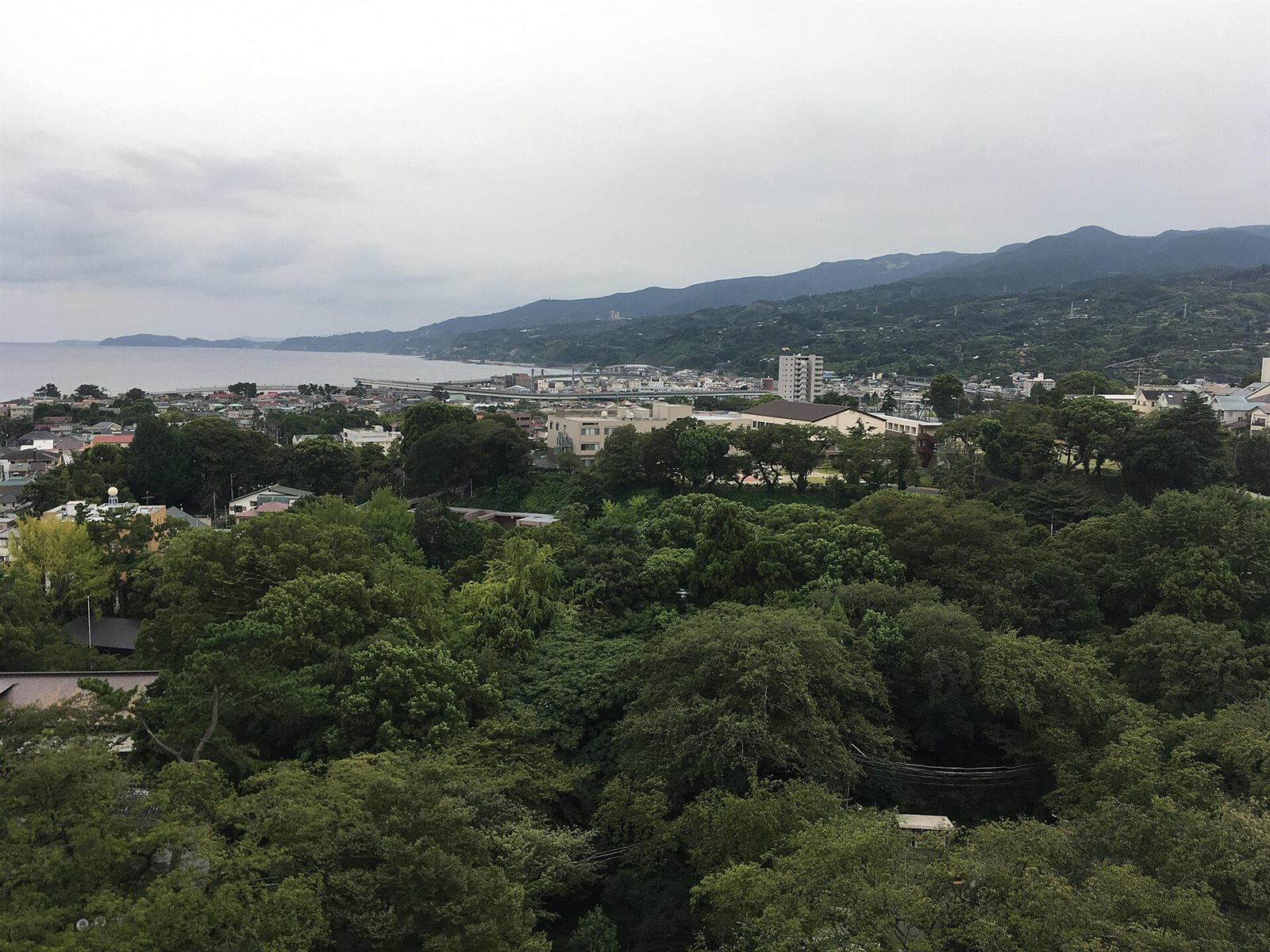 小田原城天守閣から南を望んだ眺め。手前に城址公園の木々、その先に市街地が広がり、左奥に海と、海に沿って続く山並みが見える