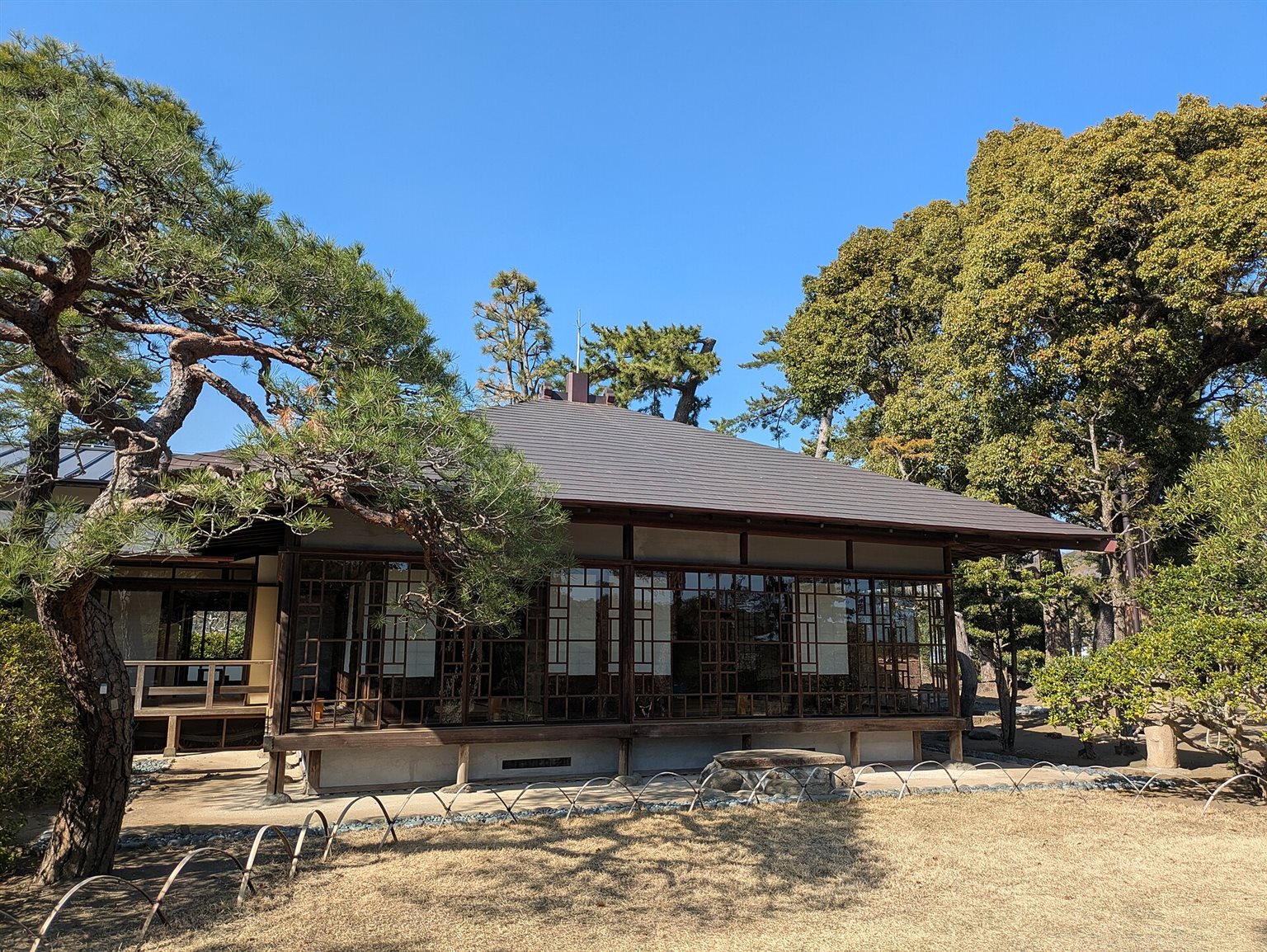 松の木の奥に建つ、ガラス戸の縁側をもつ旧大隈重信別邸・旧古河別邸