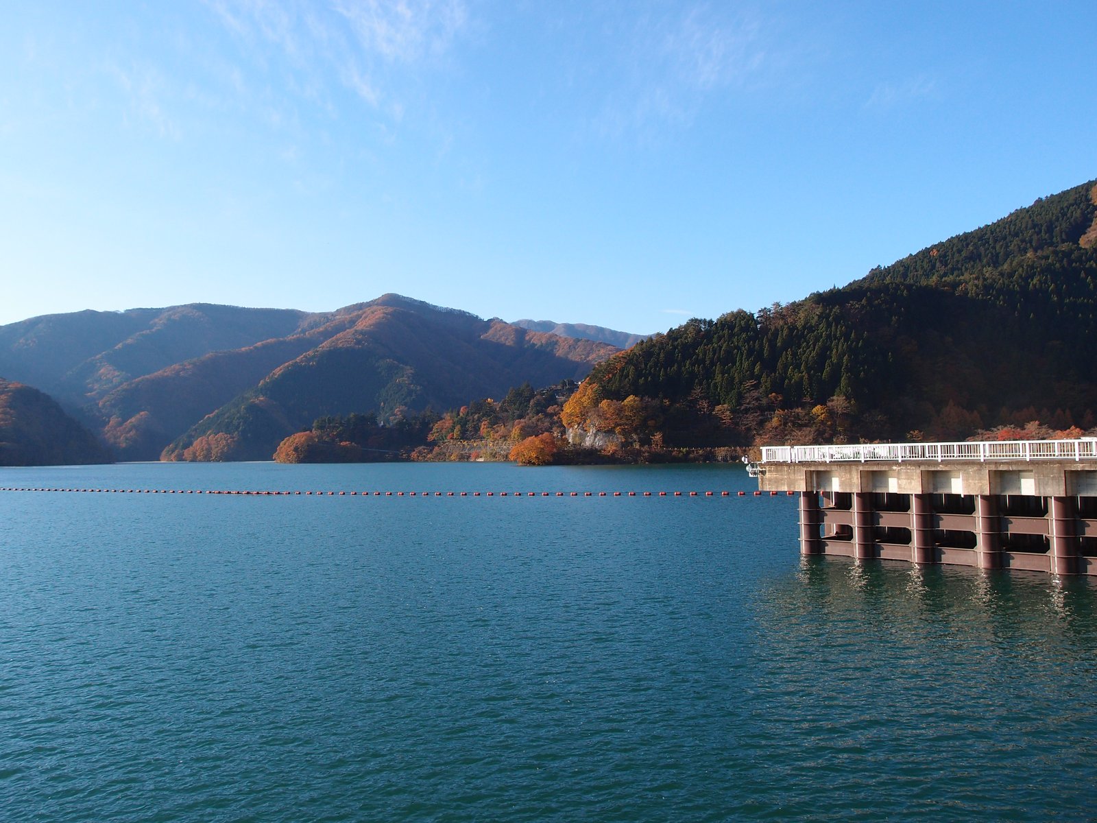 晴れた日の奥多摩湖。紅葉の始まった山に囲まれた青い湖面に浮きの列が横切り、右手に白い手すりのついたコンクリートの構造物が湖へ張り出している