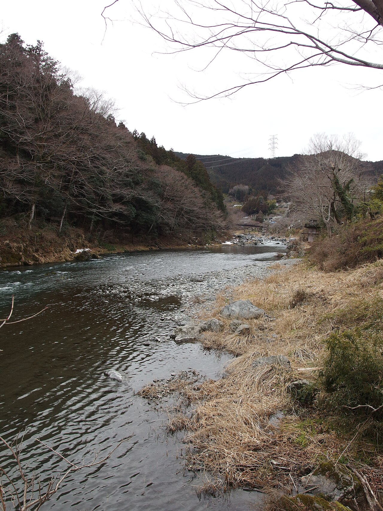 青梅市内の多摩川(2014年撮影)