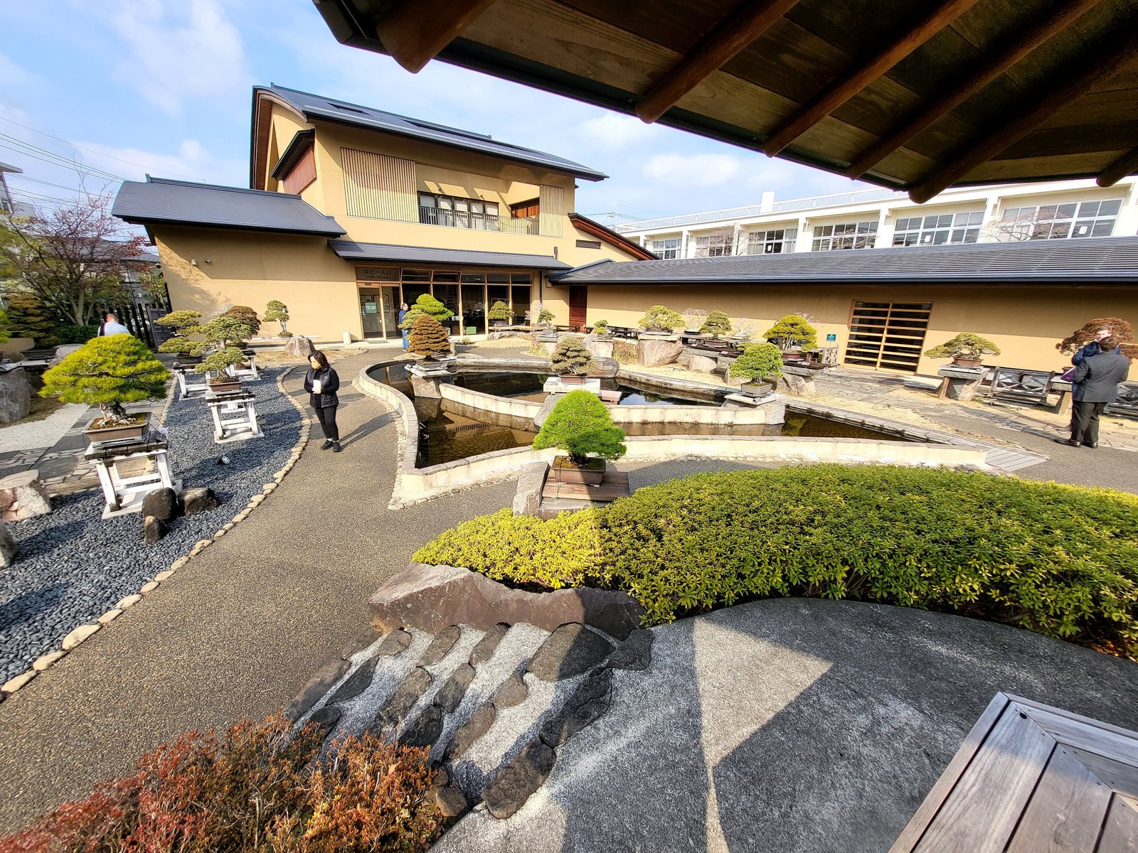池と砂利の庭を囲んで盆栽が並ぶ、大宮盆栽美術館の庭と建物