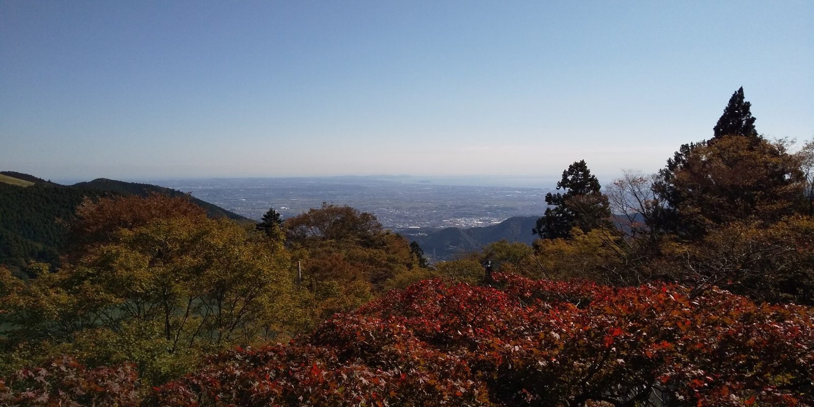 紅葉した低木の向こうに、遠くの市街地まで広がる下社からの眺め
