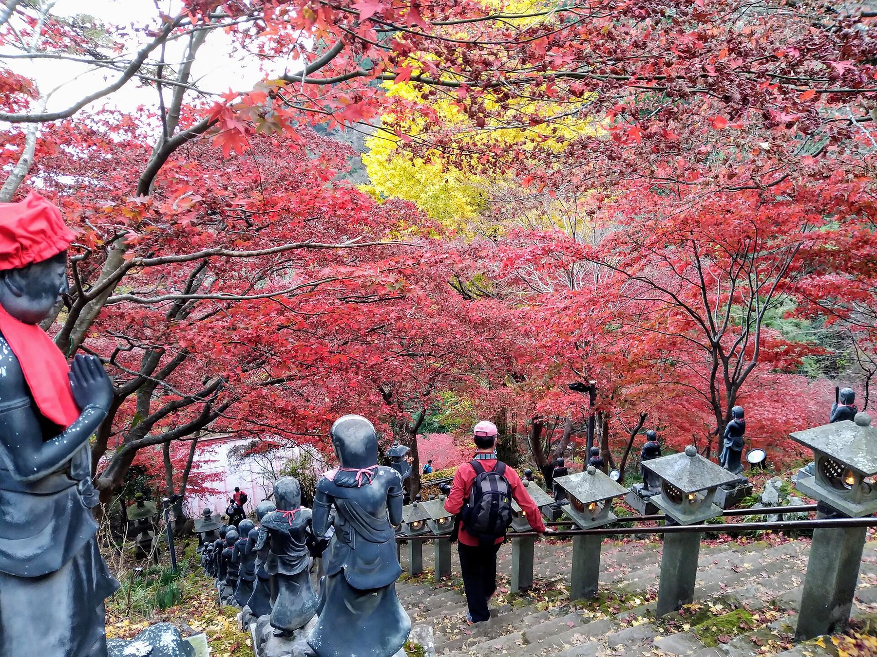 紅葉の木々の間を、お地蔵さまが並ぶ石段が下る大山寺の参道