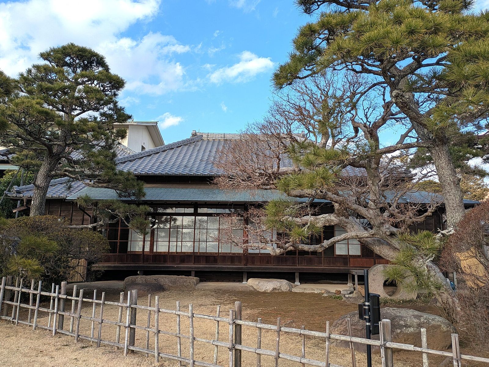 松のある庭の向こうに、縁側のある座敷棟が建つ旧堀田邸