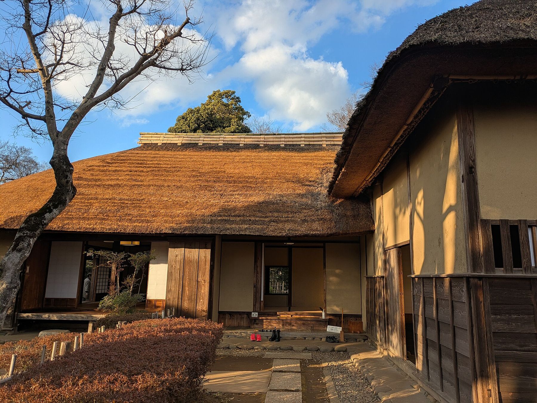 茅葺き屋根の旧但馬家住宅と、手前の庭の植え込み