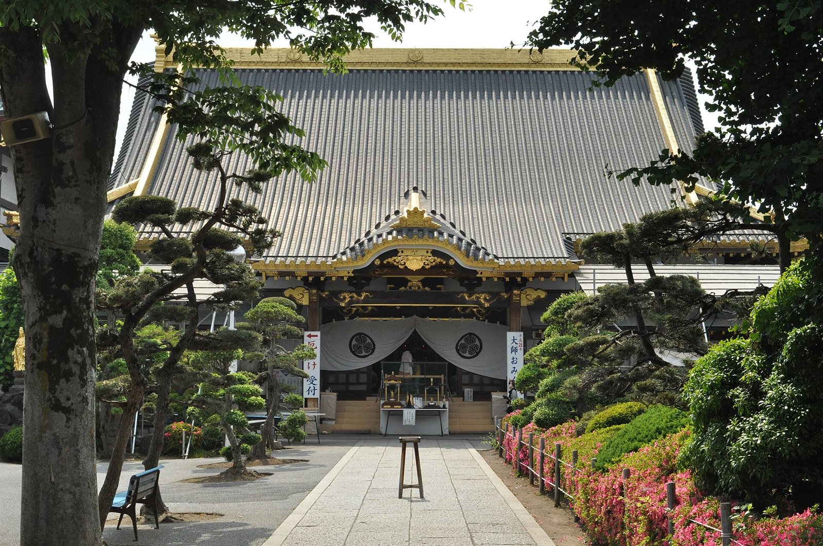 緑に囲まれた佐野厄よけ大師の本堂