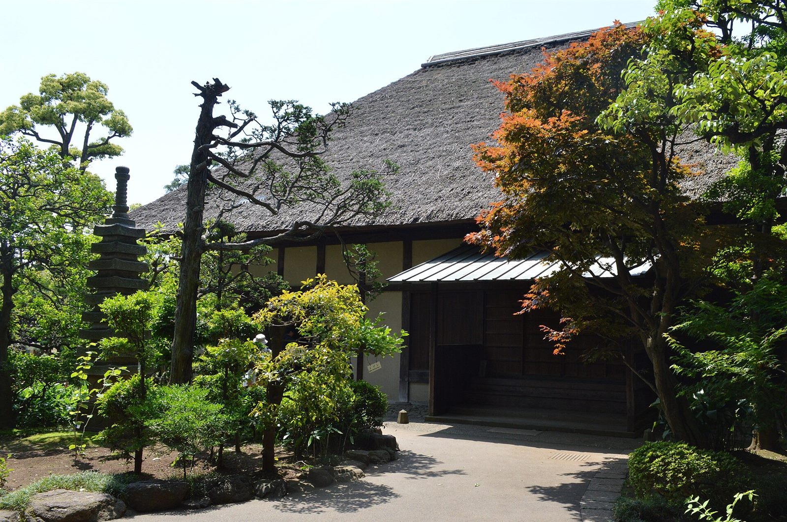 庭の木々の向こうに見える、茅葺き屋根の世田谷代官屋敷の主屋