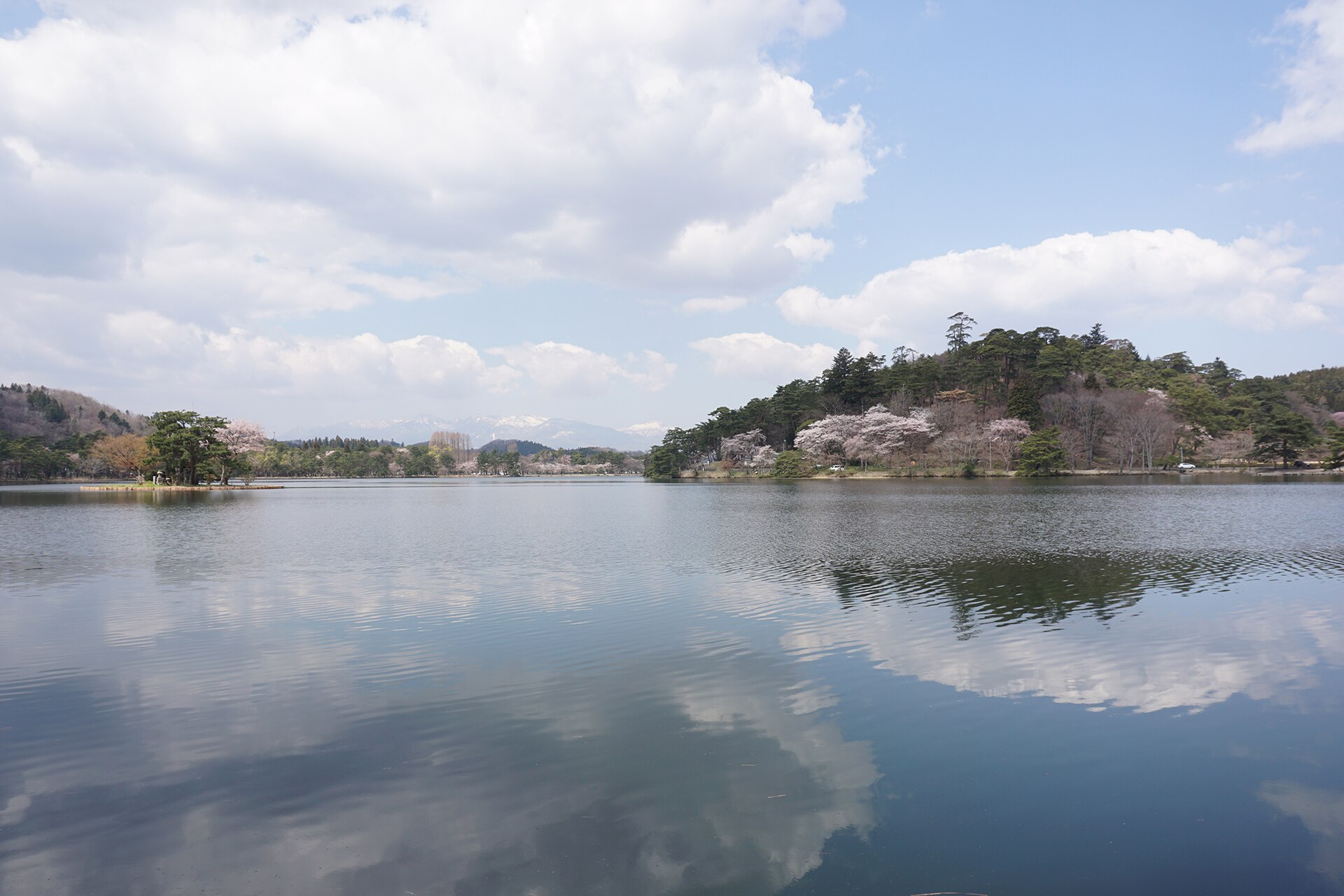 桜が咲く岬と、遠くに山並みが見える南湖の湖面
