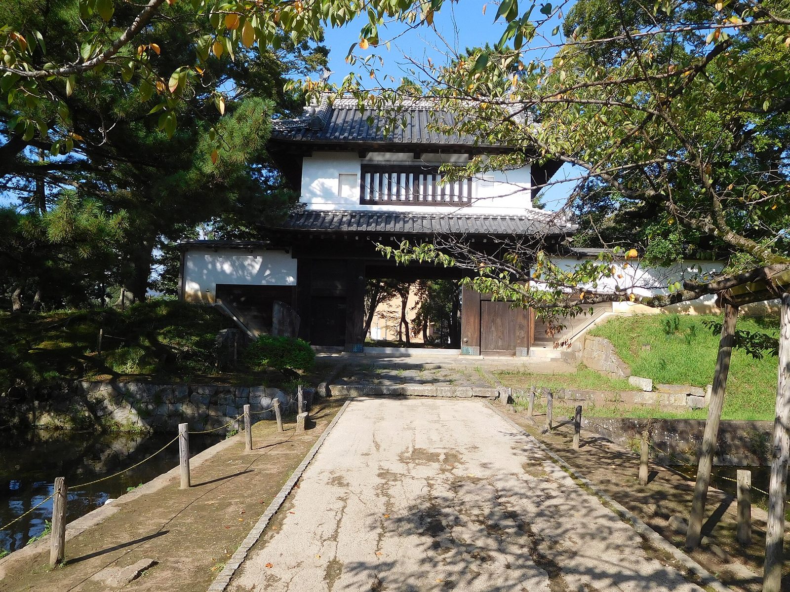 木立の中に建つ、亀城公園の瓦屋根の櫓門