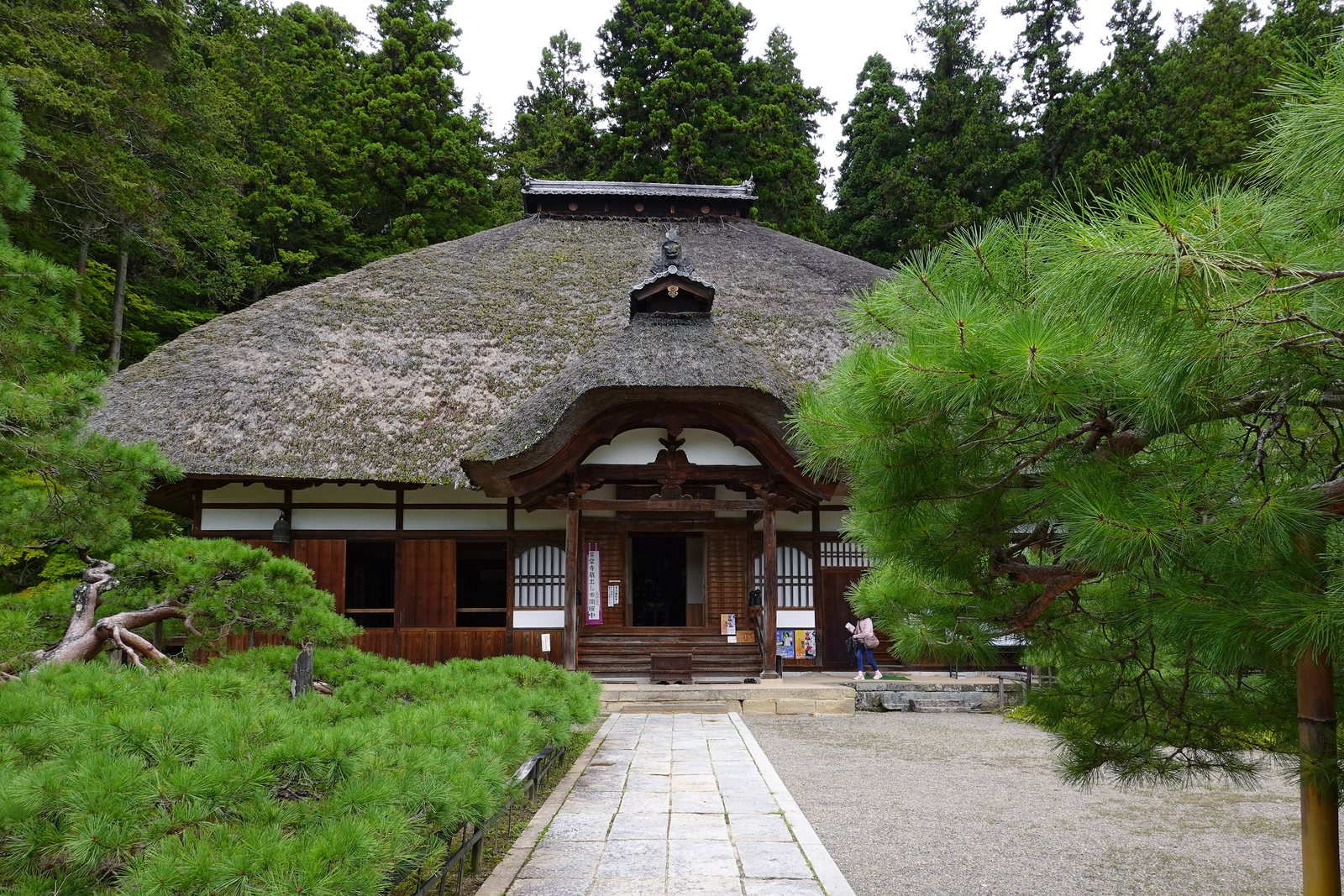松の木の奥に建つ、茅葺き屋根の常楽寺の本堂